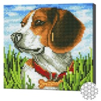 Mozaic cu diamante Art Gallery Premium Dog in the Grass 20x20cm (BJ1101)