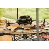 Газовый гриль Napoleon TravelQ - PRO285 Black фото №10 — интернет-магазин Desire.md