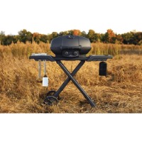 Газовый гриль Napoleon TravelQ- PRO285X Phantom фото №15 — интернет-магазин Desire.md