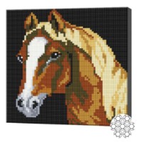Mozaic cu diamante Art Gallery Premium Little Horse 20x20cm (BJ864)