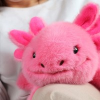 Jucărie de pluș Histoire d'Ours Axolotl Plush 50cm (HO3397) imaginea #6 — magazin online Desire.md