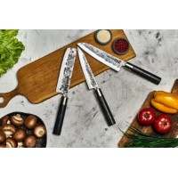 Набор ножей Samura Blacksmith 3pcs SBL-0220 фото №2 — интернет-магазин Desire.md
