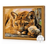 Mozaic cu diamante Art Gallery Premium Pensive Puma 40x50cm (QB204266)