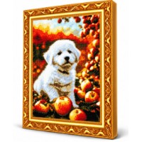 Алмазная мозаика Art Gallery Premium Puppy and Ripe Apples 40x50cm (GA89188)