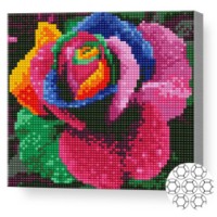 Алмазная мозаика Art Gallery Premium Rainbow Rose 20x20cm (BJ1124)