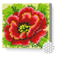 Алмазная мозаика Art Gallery Premium Red Poppy 20x20cm (BJ1025)