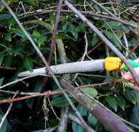 Ручная пила Gruntek Barrakuda (295500300) фото №2 — интернет-магазин Desire.md