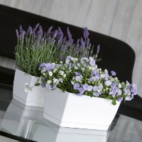 Цветочный горшок Prosperplast Coubi DUPP400-CY728 фото №3 — интернет-магазин Desire.md