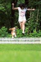 Садовое ограждение Prosperplast Palisada IPLSU2-R222 фото №3 — интернет-магазин Desire.md