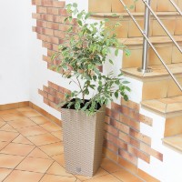 Цветочный горшок Prosperplast Rato DRTS325-7529U фото №5 — интернет-магазин Desire.md