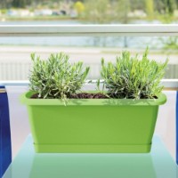 Цветочный горшок Prosperplast Respana Set ISE900P-R222 фото №2 — интернет-магазин Desire.md