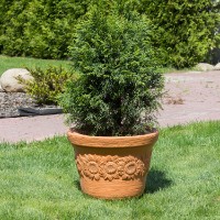 Цветочный горшок Prosperplast Sunny DBSU46-R736 фото №3 — интернет-магазин Desire.md