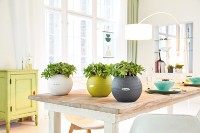 Ghiveci Lechuza Puro Color 20 Slate imaginea #4 — magazin online Desire.md