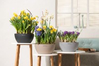 Ghiveci Lechuza Cubeto Color 30 Quartz White imaginea #4 — magazin online Desire.md