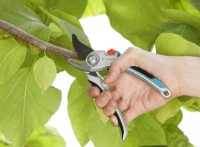 Foarfecă de gradină (secatore) Gardena Comfort (8906-20) imaginea #2 — magazin online Desire.md