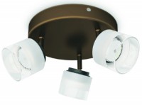 Люстра Philips Fremont Bronze 53333/06/16
