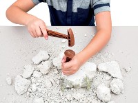 Детский набор для исcледований Clementoni Archeofun T-Rex and Triceratops (61245) фото №3 — интернет-магазин Desire.md