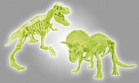 Детский набор для исcледований Clementoni Archeofun T-Rex and Triceratops (61245) фото №5 — интернет-магазин Desire.md