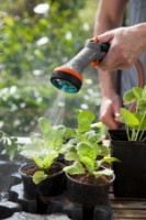 Pistol pentru stropit Gardena Comfort (18321-20) imaginea #3 — magazin online Desire.md