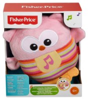 Jucărie de pluș Fisher Price Musical Owl (CDN88)