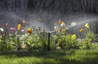 Дождеватель Hunter PROS 06 (34694) фото №2 — интернет-магазин Desire.md