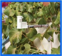 Управление поливом Hunter Rain-Click (50241) фото №2 — интернет-магазин Desire.md