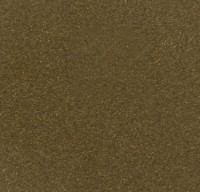 Chiuvetă de bucătărie Aquasanita Tesa SQT102 Brass imaginea #2 — magazin online Desire.md