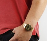 Наручные часы Casio A168WEGC-3 фото №2 — интернет-магазин Desire.md