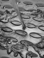 Covoraşe auto Novline Element Toyota Verso 10/2009-2013 (NLC.48.20.210) imaginea #4 — magazin online Desire.md