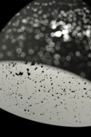 Lustră Lampardi Edoardo LP517-1P imaginea #3 — magazin online Desire.md