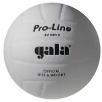 Мяч волейбольный Gala Pro-Line White 5211