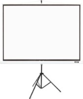 Экран для проектора Acer T87-S01MW (MC.JBG11.00F) фото №1 — интернет-магазин Desire.md