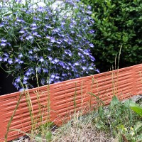 Садовое ограждение Prosperplast Palisada Brown IBWI-R222 фото №4 — интернет-магазин Desire.md