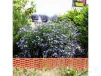 Садовое ограждение Prosperplast Palisada Teracota IBRA-R624 фото №3 — интернет-магазин Desire.md