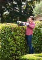 Кусторез бензиновый Ryobi RHT25X55R  фото №2 — интернет-магазин Desire.md