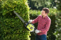 Кусторез бензиновый Ryobi RHT25X55R  фото №3 — интернет-магазин Desire.md