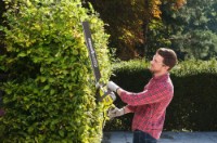 Кусторез электрический Ryobi RHT8165RL фото №2 — интернет-магазин Desire.md