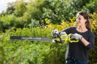 Кусторез электрический Ryobi RHT8165RL фото №3 — интернет-магазин Desire.md