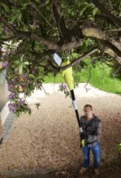 Fierăstrău de taiat la înălțime Ryobi RP750450 imaginea #2 — magazin online Desire.md