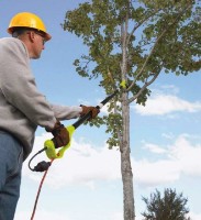 Fierăstrău de taiat la înălțime Ryobi RPP755E imaginea #5 — magazin online Desire.md