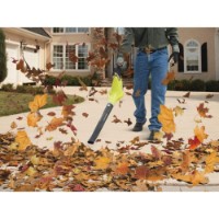 Suflantă de frunze Ryobi OBL1820S imaginea #2 — magazin online Desire.md