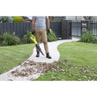 Suflantă de frunze Ryobi OBL1820S imaginea #3 — magazin online Desire.md