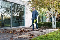 Suflantă de frunze Ryobi OBL1820S imaginea #4 — magazin online Desire.md