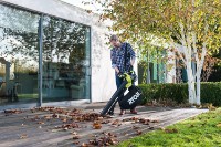 Садовый пылесос Ryobi OBV18 фото №2 — интернет-магазин Desire.md