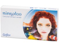 Контактные линзы Gelflex Ningaloo Chocolate N2 фото №1 — интернет-магазин Desire.md