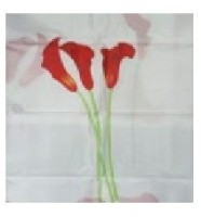 Занавеска для ванной Aquaplus 9021-B23  фото №1 — интернет-магазин Desire.md