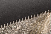 Fierăstrău Verto 15G102 imaginea #3 — magazin online Desire.md