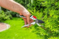 Foarfecă de gradină (secatore) Verto 15G206 imaginea #4 — magazin online Desire.md