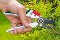 Foarfecă de gradină (secatore) Verto 15G207 imaginea #3 — magazin online Desire.md