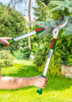 Foarfecă de gradină (secatore) Verto 15G258 imaginea #3 — magazin online Desire.md